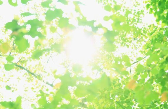 東京ミラブルキッチンの口コミはこちら